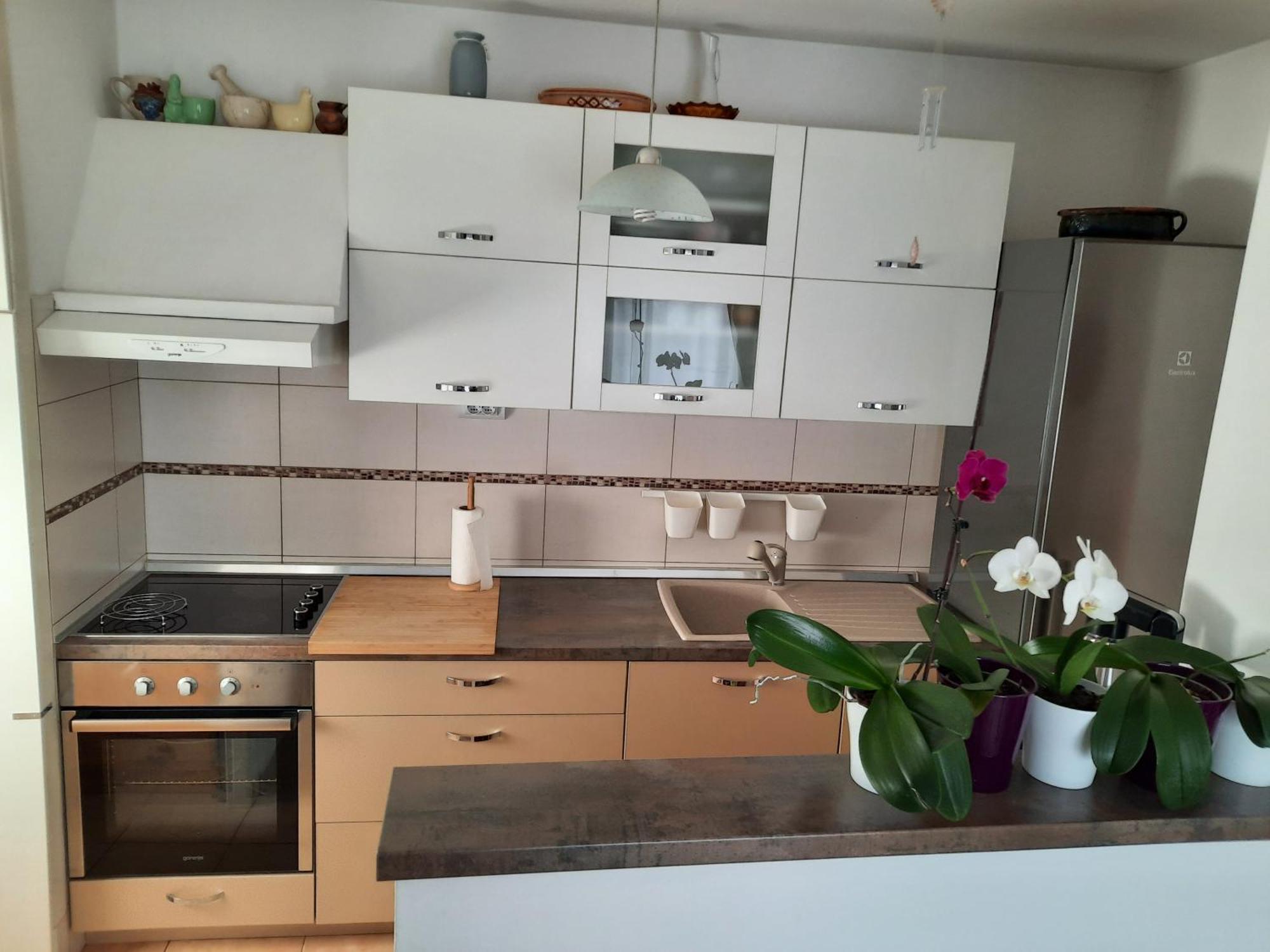 Apartments Anita Crikvenica Værelse billede
