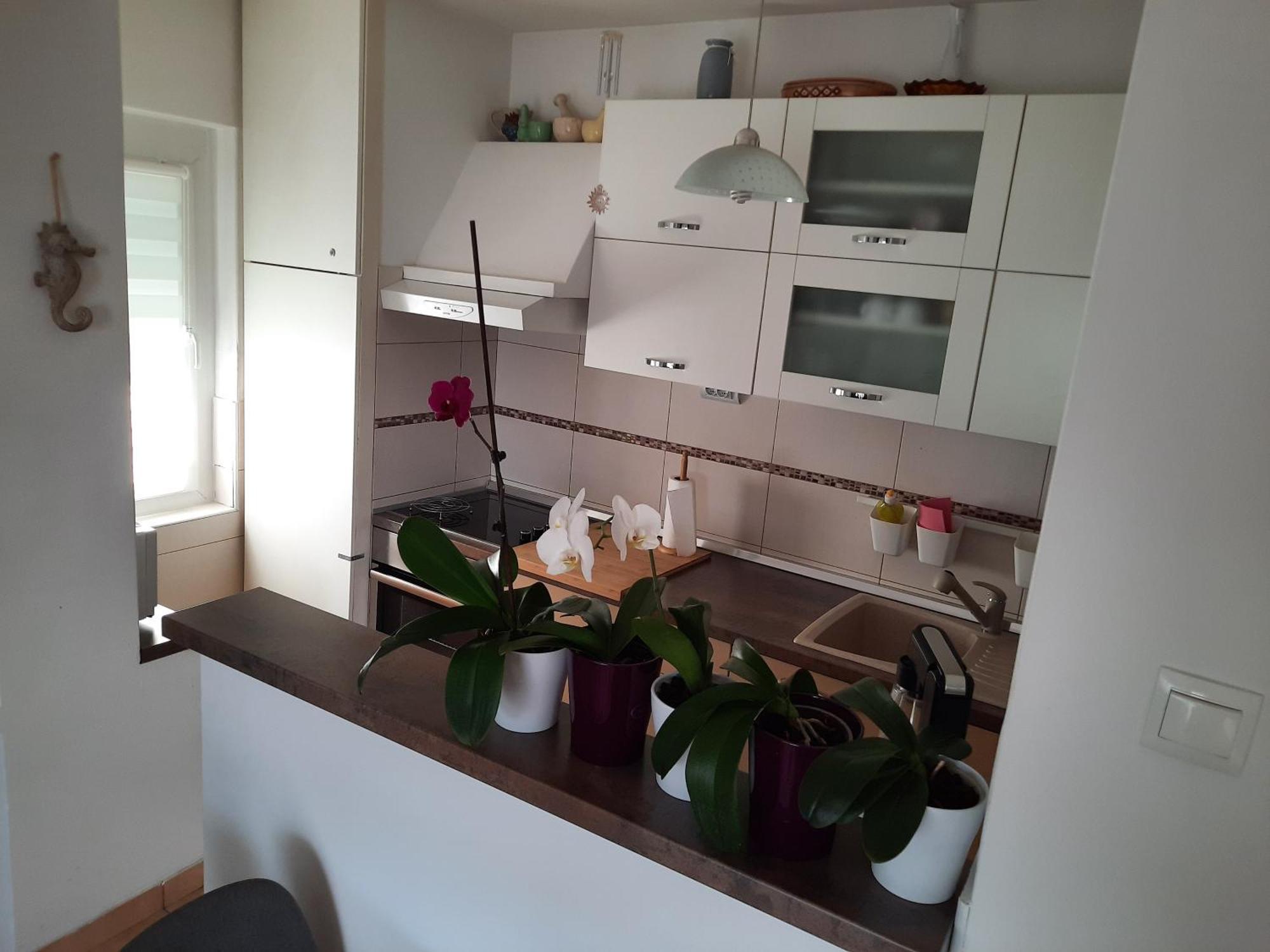 Apartments Anita Crikvenica Værelse billede